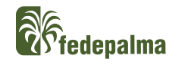 Logo Centro de Investigación y documentación Fedepalma